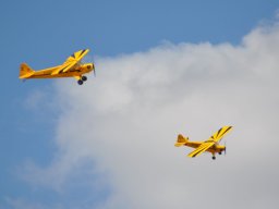 Flugtag 2022